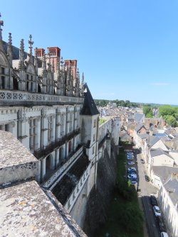 IMG_8975.JPG
