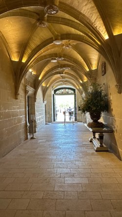 IMG_3460.JPEG