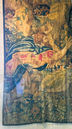 IMG_3485.JPEG
