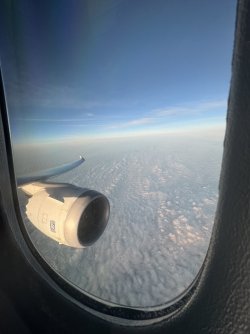 IMG_1567.jpeg