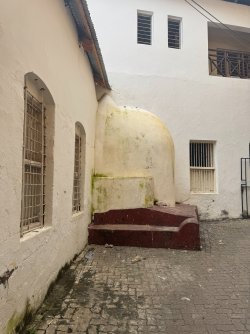 IMG_7925.JPG