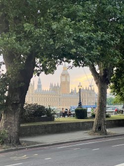 IMG_6630.jpeg