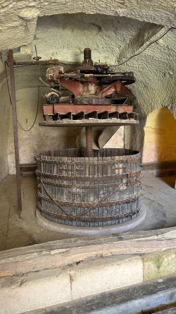 IMG_3691.JPEG