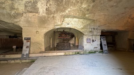 IMG_3693.JPEG