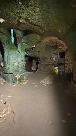 IMG_3711.JPEG