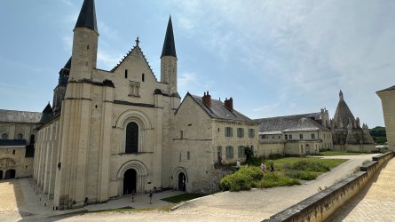 IMG_3741.JPEG