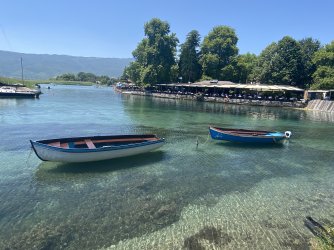 IMG_8168.jpeg