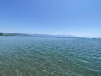 IMG_8170.jpeg