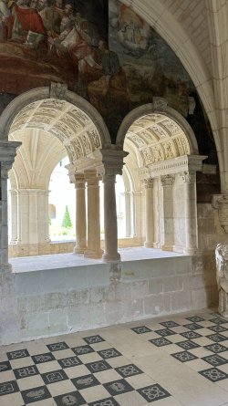 IMG_3769.JPEG