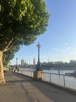 IMG_6800.jpeg