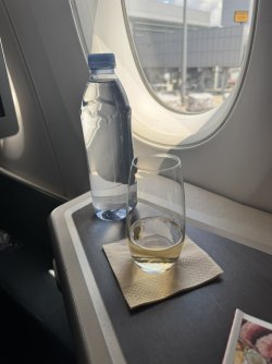 IMG_7775.JPEG