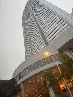 IMG_7801.JPEG