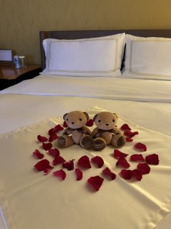 IMG_3833.JPEG