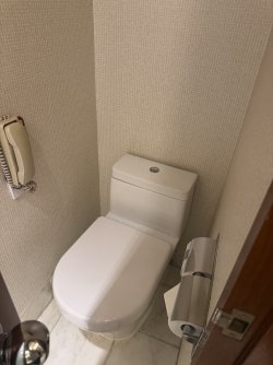 IMG_7806.JPEG