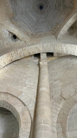 IMG_3795.JPEG