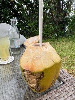 IMG_8001.JPG