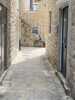 IMG_8242.jpeg