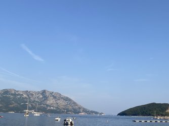 IMG_8297.jpeg