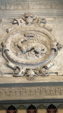 IMG_3855.JPEG