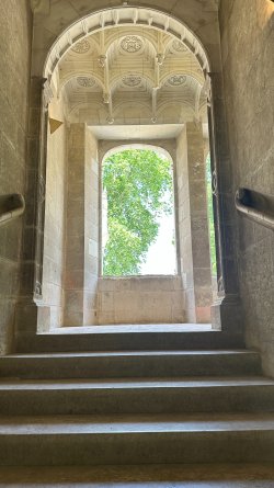 IMG_3818.JPEG