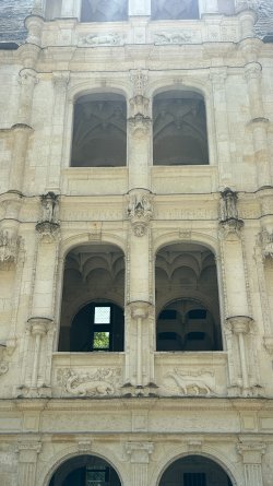 IMG_3815.JPEG