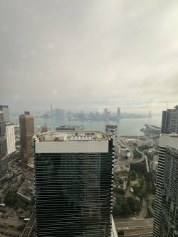 IMG_7838.JPEG