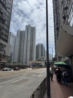 IMG_7871.JPEG