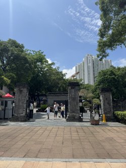 IMG_7906.JPEG