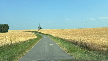 IMG_3889.JPEG