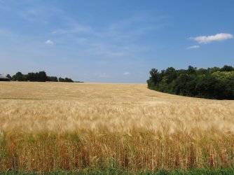 IMG_9061.JPG