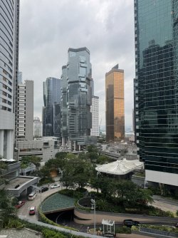IMG_7938.JPEG