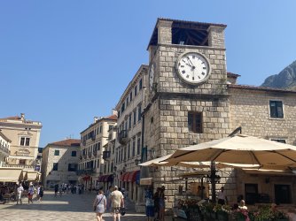 IMG_8351.jpeg