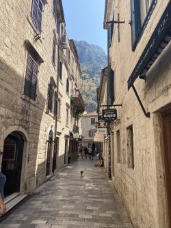 IMG_8358.jpeg