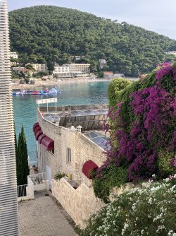 IMG_7062.jpeg