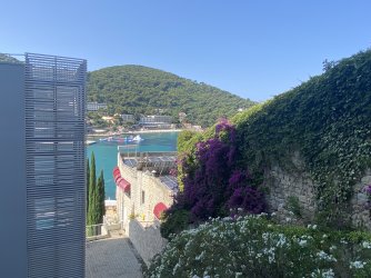 IMG_8388.jpeg