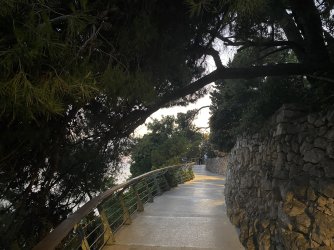 IMG_8371.jpeg