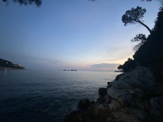 IMG_8375.jpeg