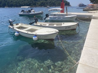 IMG_8418.jpeg