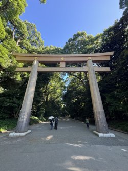IMG_1582.jpeg