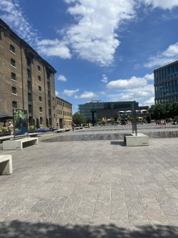 IMG_6894.jpeg