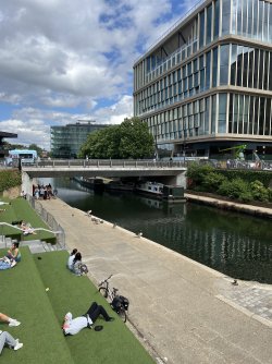 IMG_6895.jpeg
