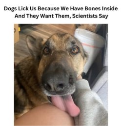 1751114765713.jpeg