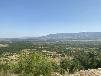 IMG_8440.jpeg