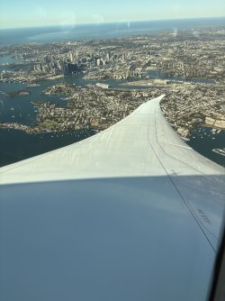 IMG_0333.jpeg