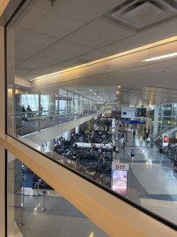 B107DCA7-D795-4F94-ADAF-F8C0865CA29B_1_102_o.jpeg