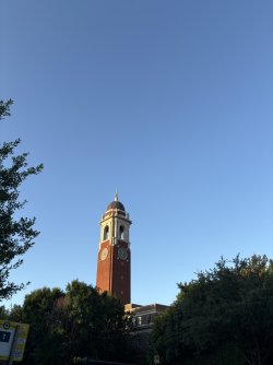32C945EA-D8F0-4A15-9D71-B01FF9E72D6D_1_102_o.jpeg