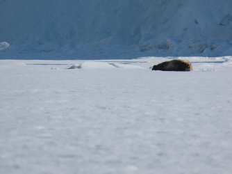 IMG_9146.JPG