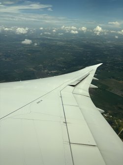IMG_0418.jpeg