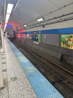 IMG_0429.jpeg