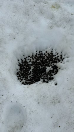 IMG_4467.JPEG